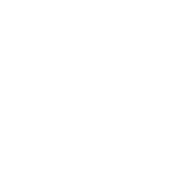 Brooks Wimer Logo